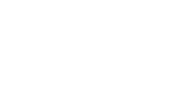 Wild Surveys Logo